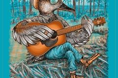 cwf_gadwall_002CONCEPT